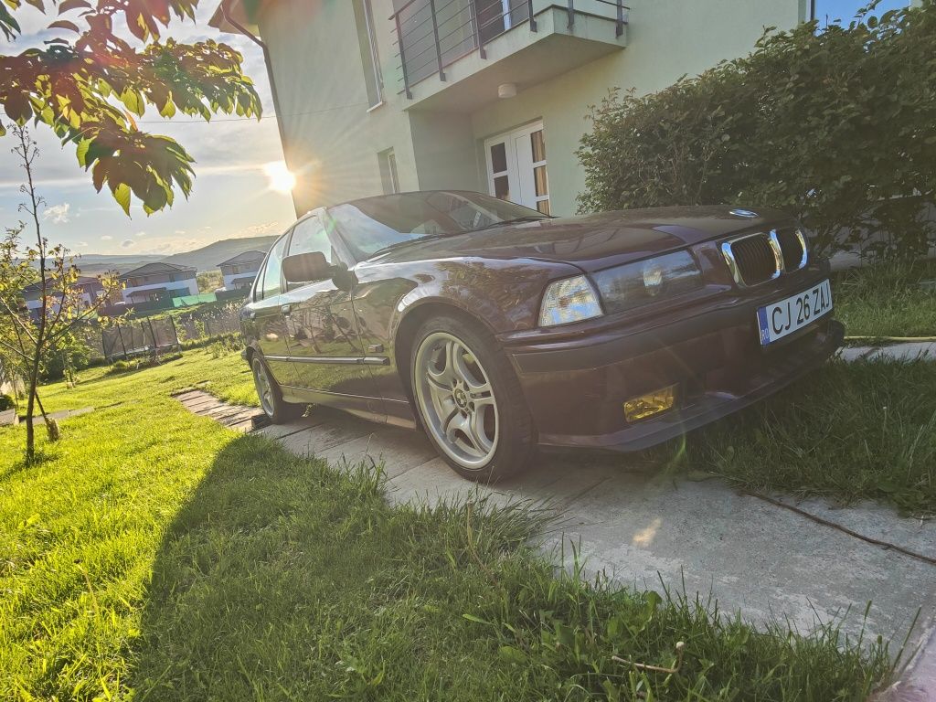 Bmw 320i pisicuță