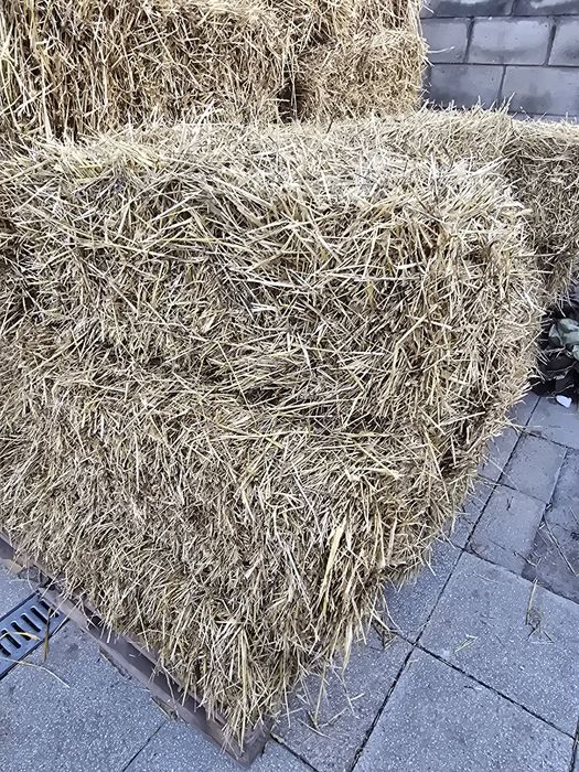 Продаю солому тюками