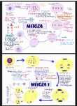 BAC Biologie Vegetala si animala  /Anatomie si genetica