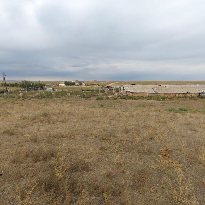 Кашар, Фазенда, Жер, 120гектар