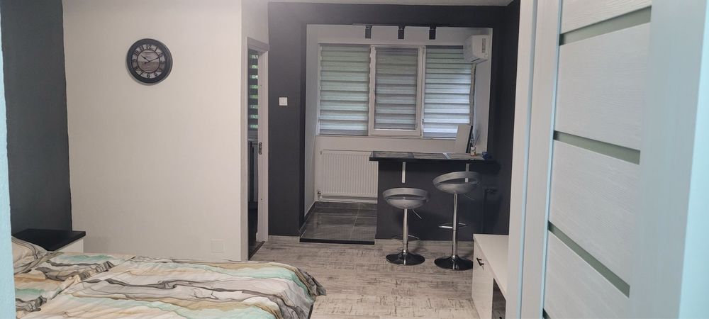 Garsoniera in regim hotelier