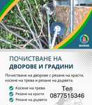 Почистване на дворове и градини