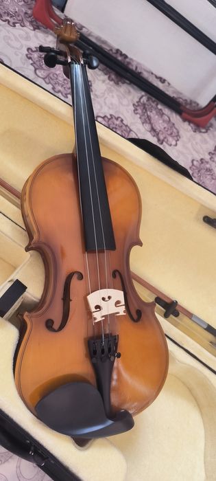 Скрипка 4/4 учебный и акустическая 6 струнная гитара