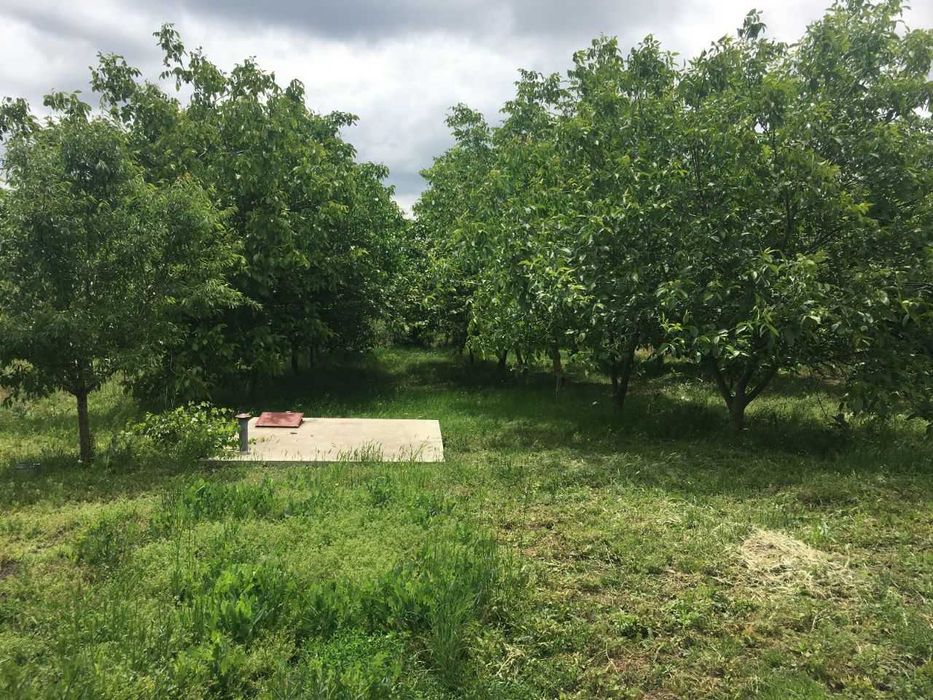 Casă de vânzare la cheie – Comuna Traian, Jud. Teleorman