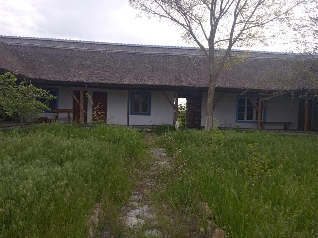 Casa/Pensiune în Delta Dunării - Sat Letea