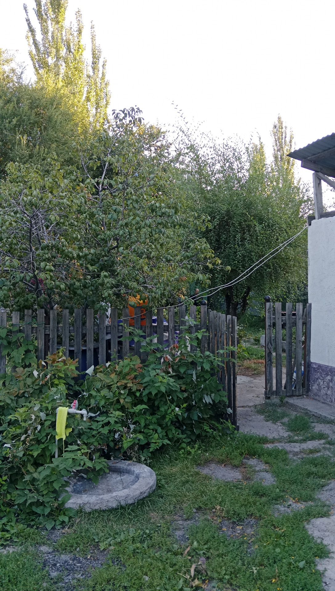 Продам дом в исыке