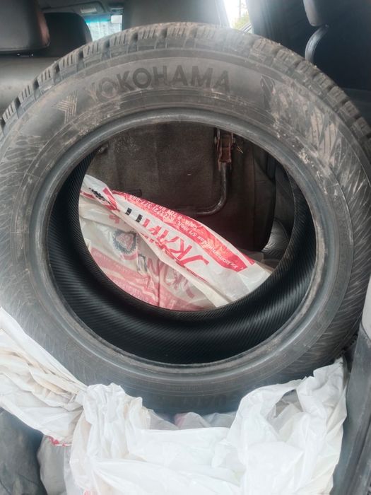 Зимние шины с шипами