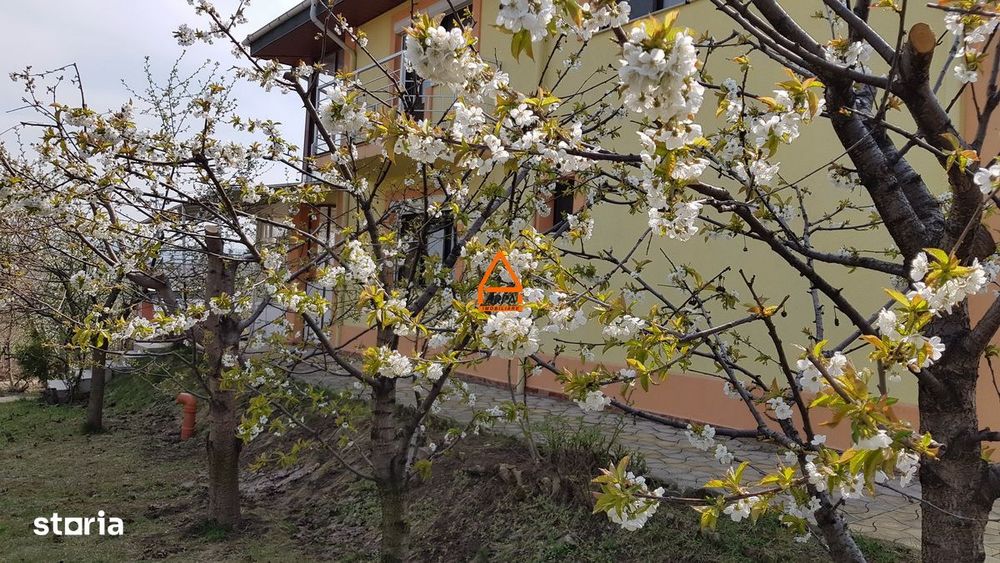 Casa / Vila - 310 mp , 1000 mp teren - Bucium