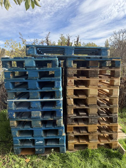 Евро полета 120-80 21 броя 8лв бр