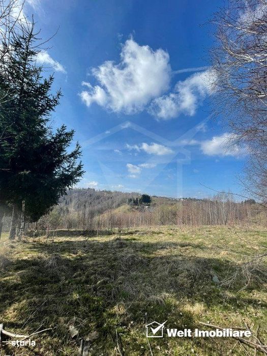 Teren cu panorama pentru cabana, Risca, Valea Fericirii