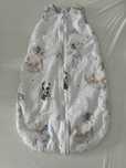 Sac de dormit 0-9 luni Kidizi toamna - iarna, Sweet Dreams, 1 tog