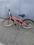 Bicicleta riverside