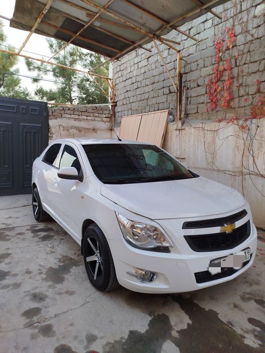 Kobalt navarot qilingan gazi bor 4 pok