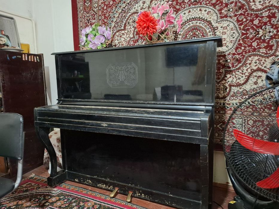 Pionina arginal belarus