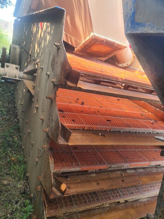 Ciur 4 Sorturi   Loro parasini 600×200