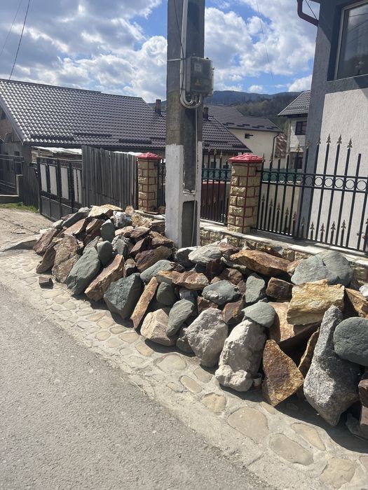 Bolovani ornamentali orice dimensiune si nuante oriunde in tara