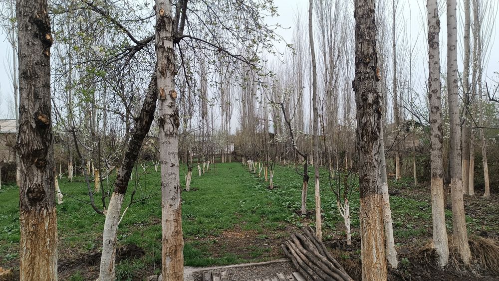 Продаётся земля 15 сотих в Платина малбазар