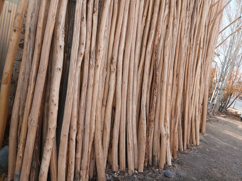 Terak druchkalari bor jami 1000ta donasi 30 mingdan yanaxam kelishami