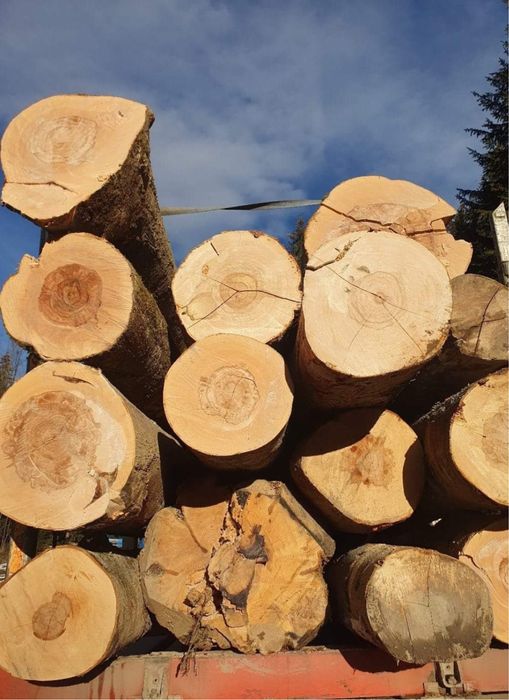 Cherestea si lemne de foc