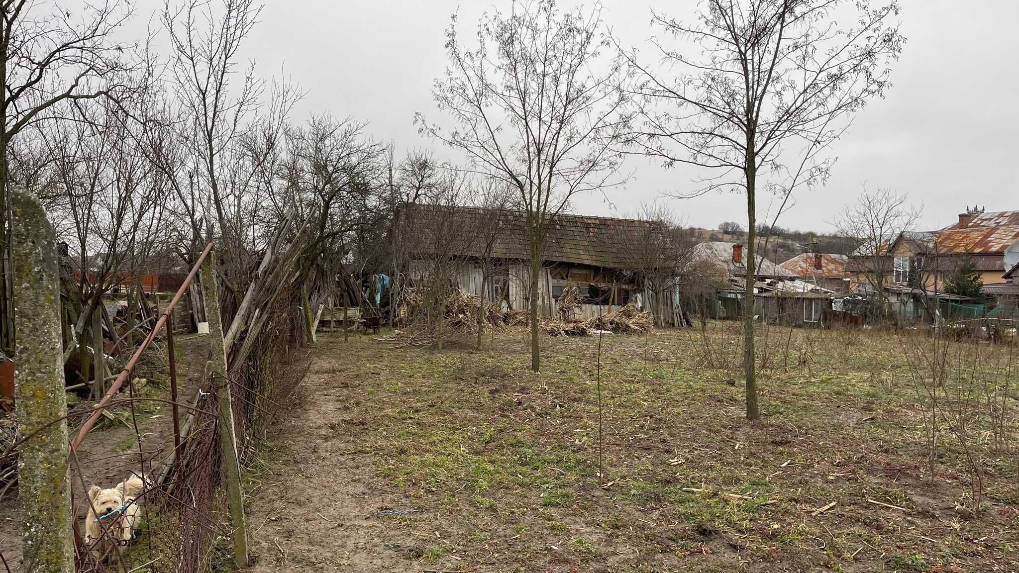 Casă bătrânească și teren