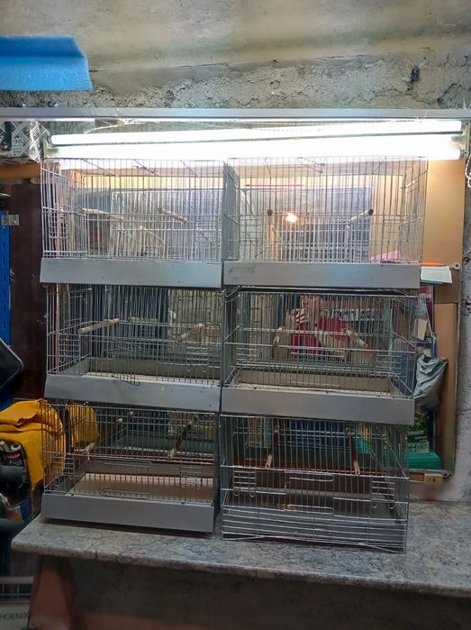 Клетки за птици с размер 45:30:26 см.