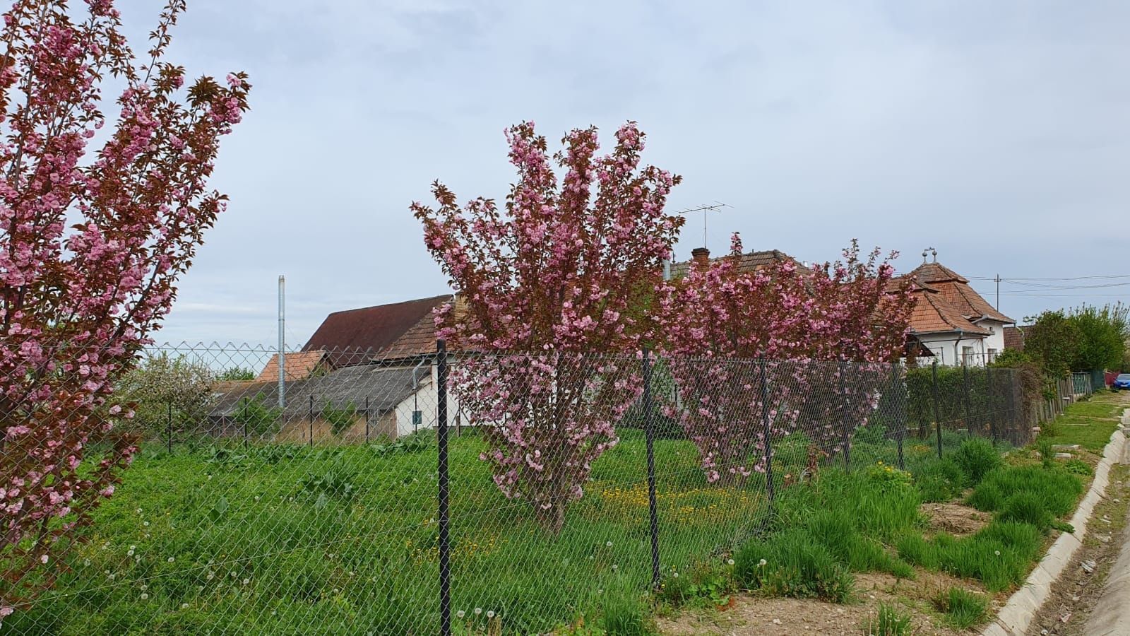 Gradina, loc de casa