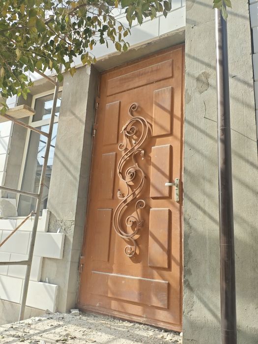 Temir eshik 270*120см