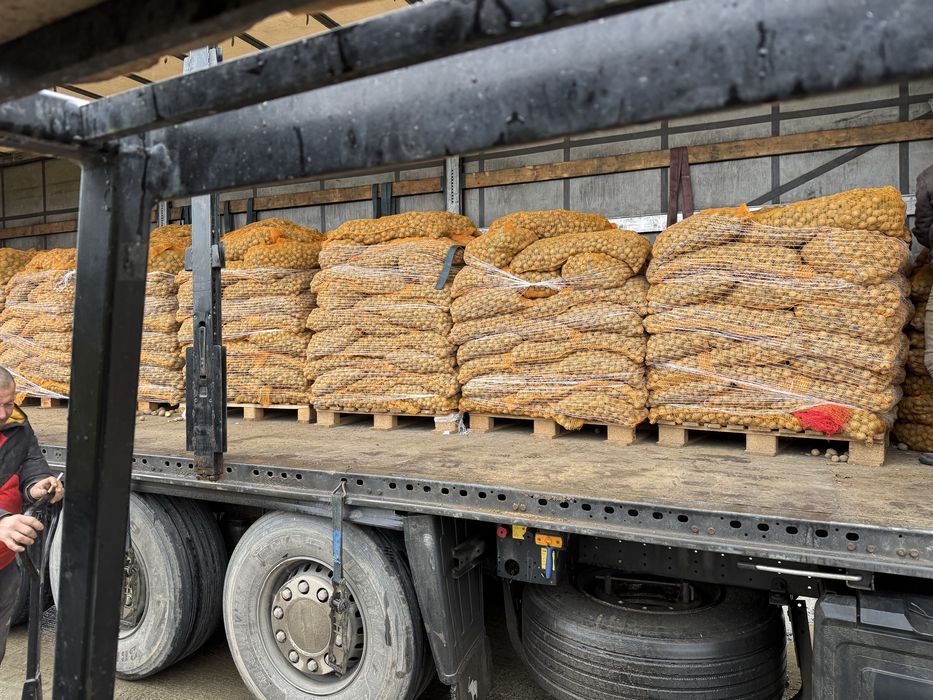 Vand cartof animale/samanta