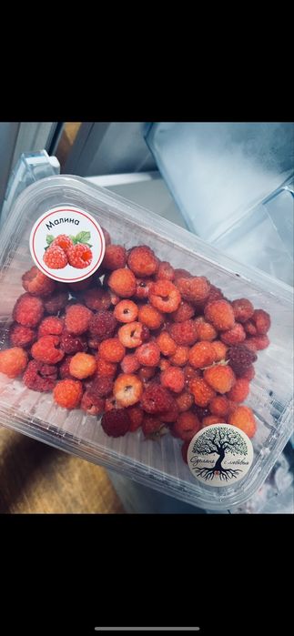 продам свежемороженую малину