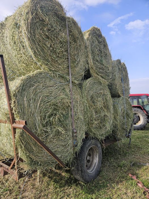 Baloți de LUCERNA si OTAVA