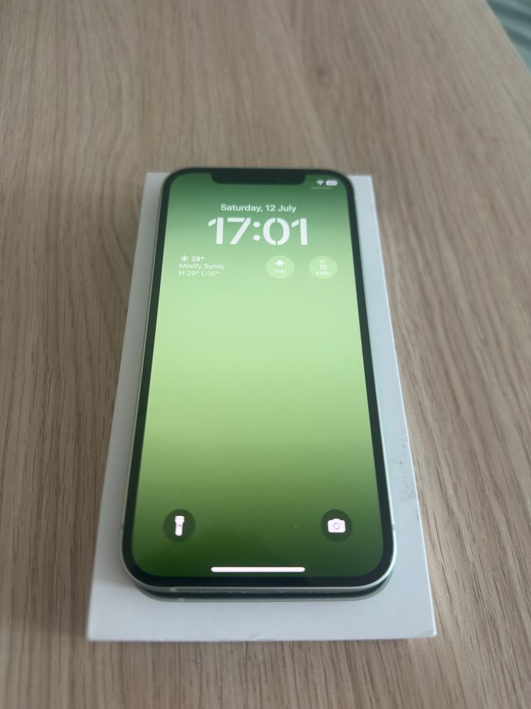 Iphone 12 mint green