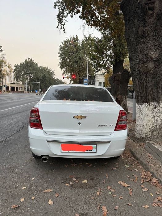 Кобальт LTZ белый