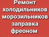 Ремонт Холодильников морозильников  Заправка фреона