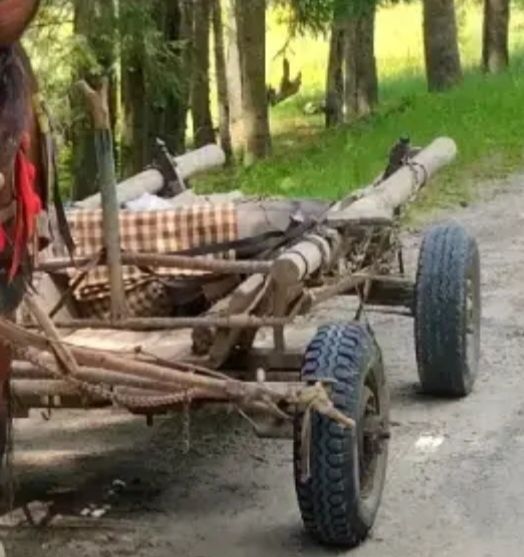 Căruță de vânzare