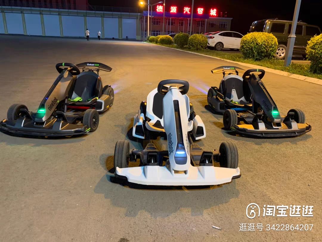 Ninebot gokart  mini 700W 54V