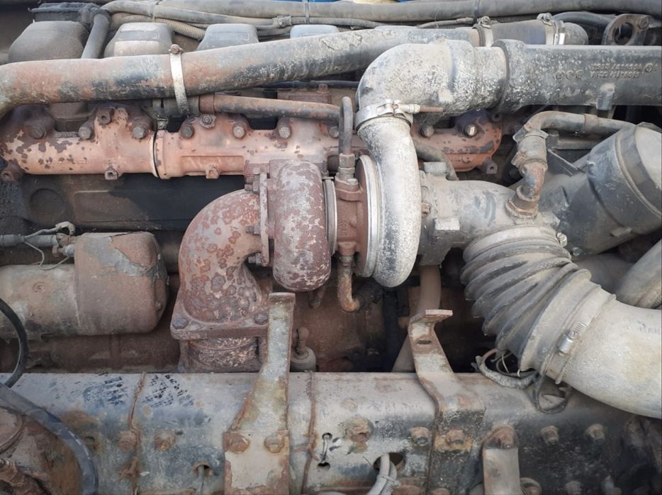 Man forestier complet