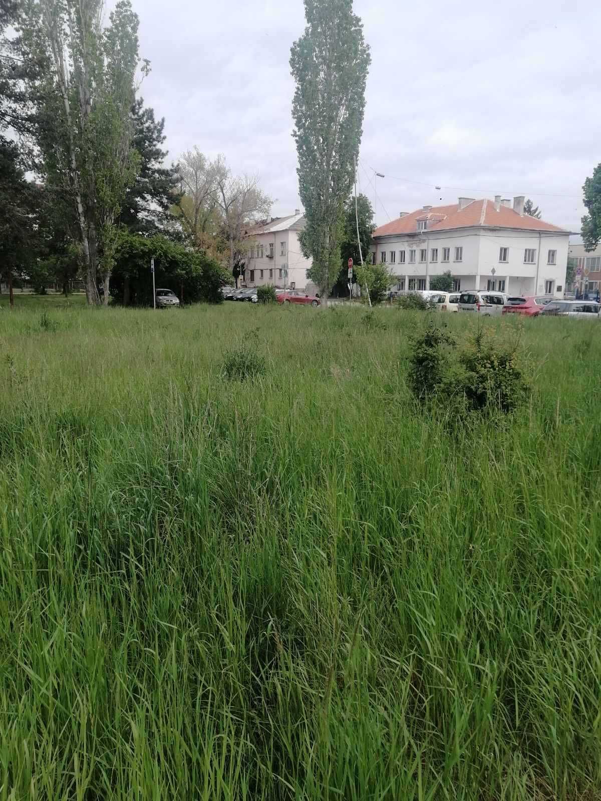 Косене на трева,почистване на дворове,рязане на опасни дървета,транспо