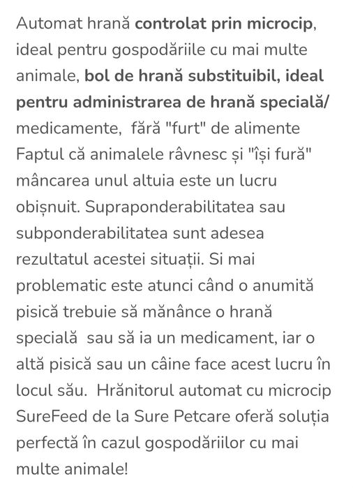 Automat de hrană pisici