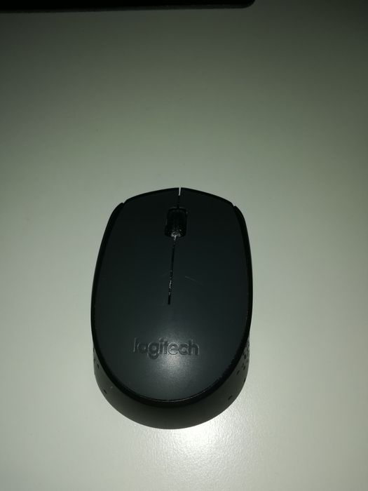 Mouse Logitech M170