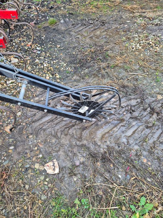 Prasitoare floare porumb