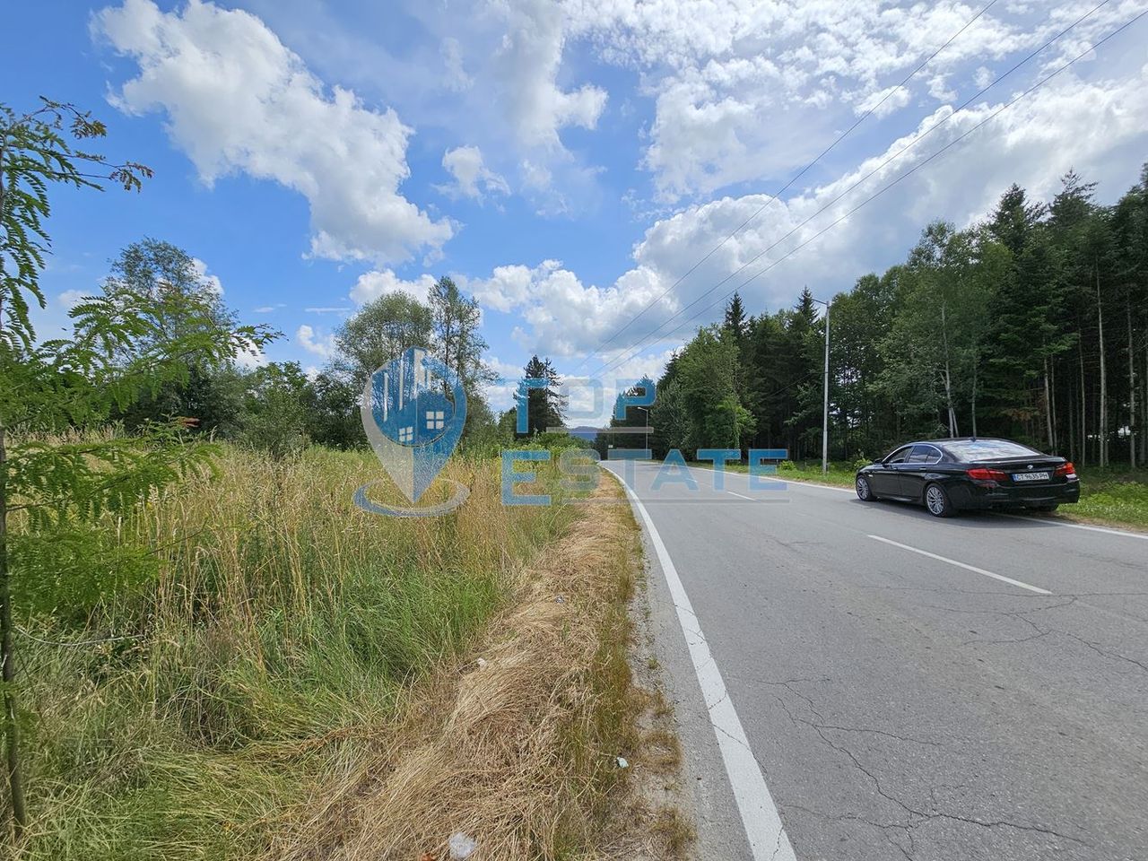 Продава се Парцел в Елена - 5000 кв.м за 11 €/кв.м - Снимка #5