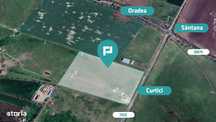 10.5HA, com.Simand Jud.Arad