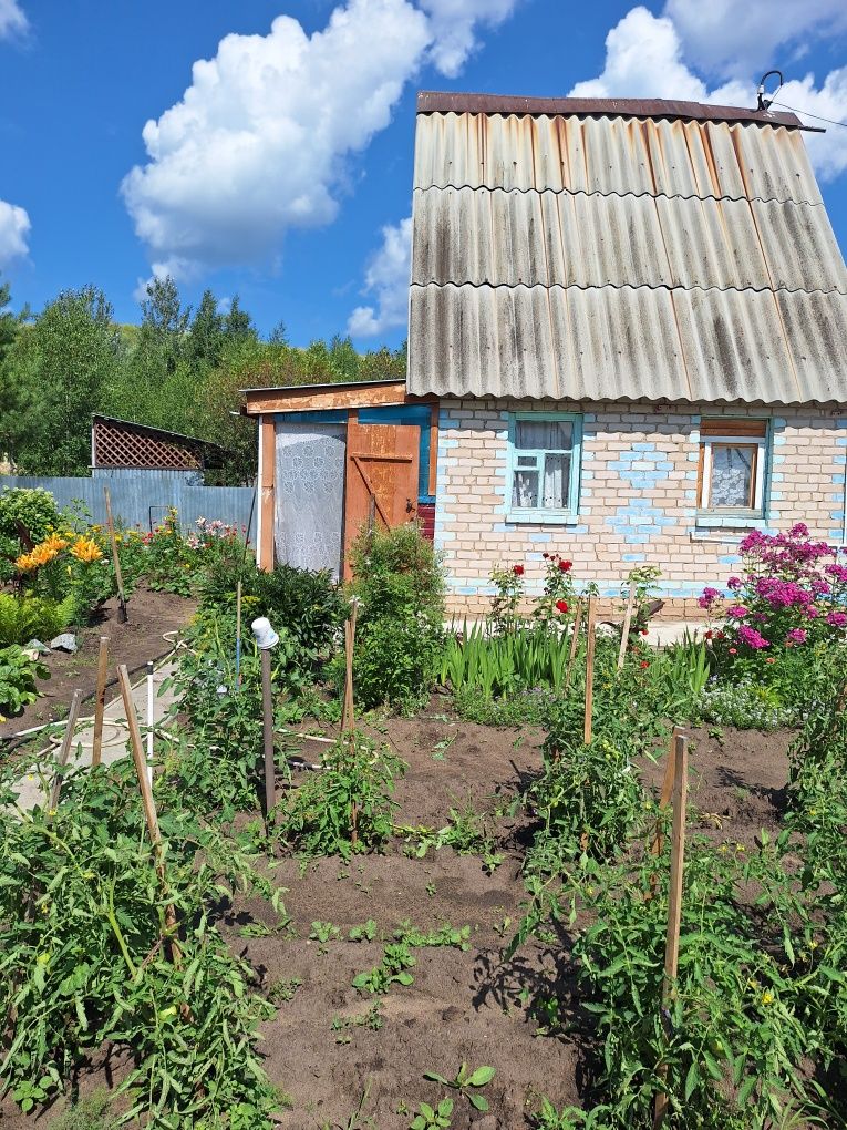 Дачу в обществе Северянка