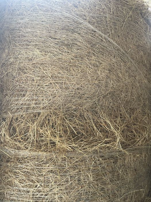 Baloti rotunzi mari fan