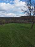 Vand teren intravilan