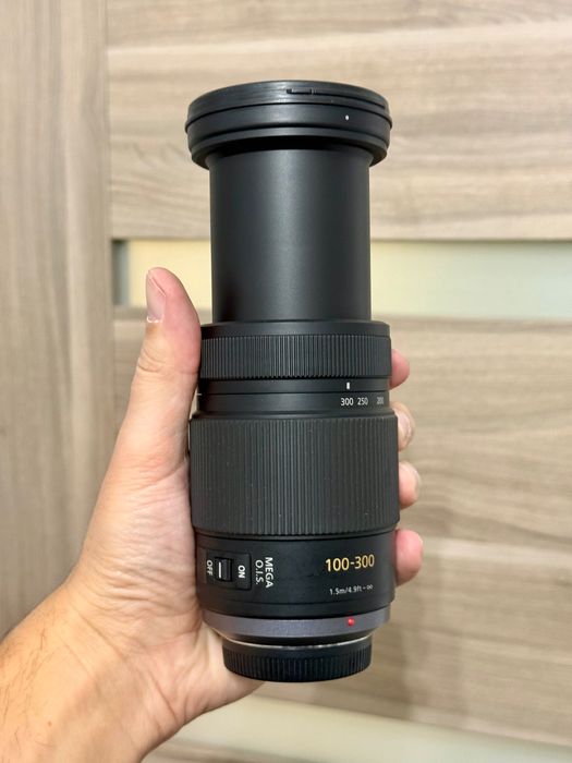 Panasonic Lumix G Vario 100-300mm f/4-5.6 Mega O.I.S. MFT