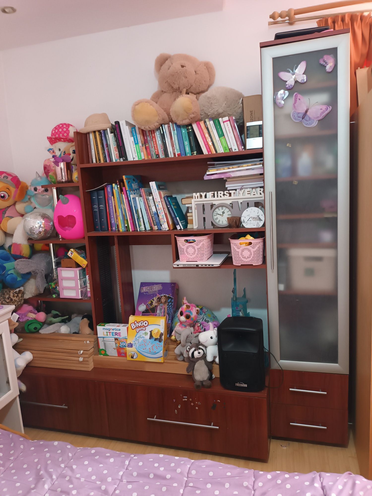 Biblioteca sufragerie