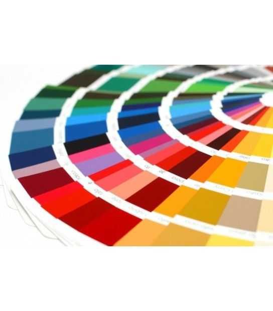 RAL  Vopsea Pulbere pt vopsire electrostatica, echipamente, accesorii