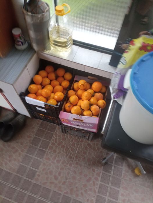 Райска ябълка екологично чиста без никакви пръскания