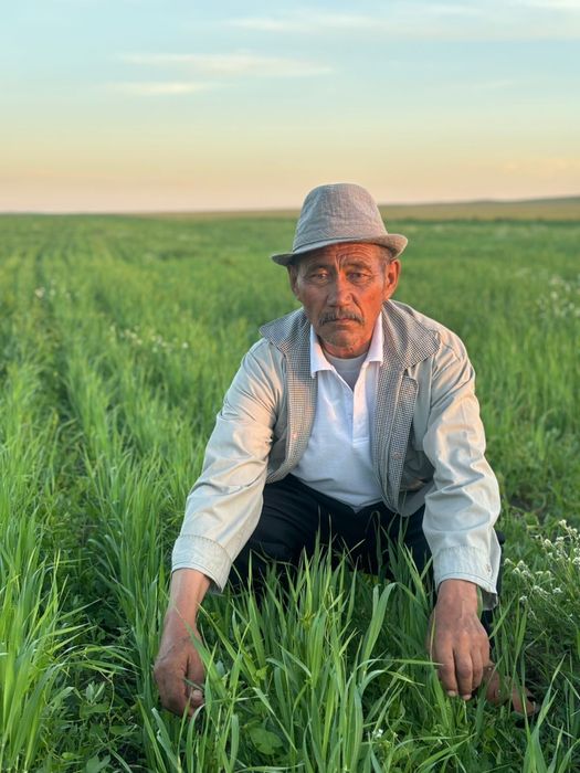 Земля пашния расшаемый можно